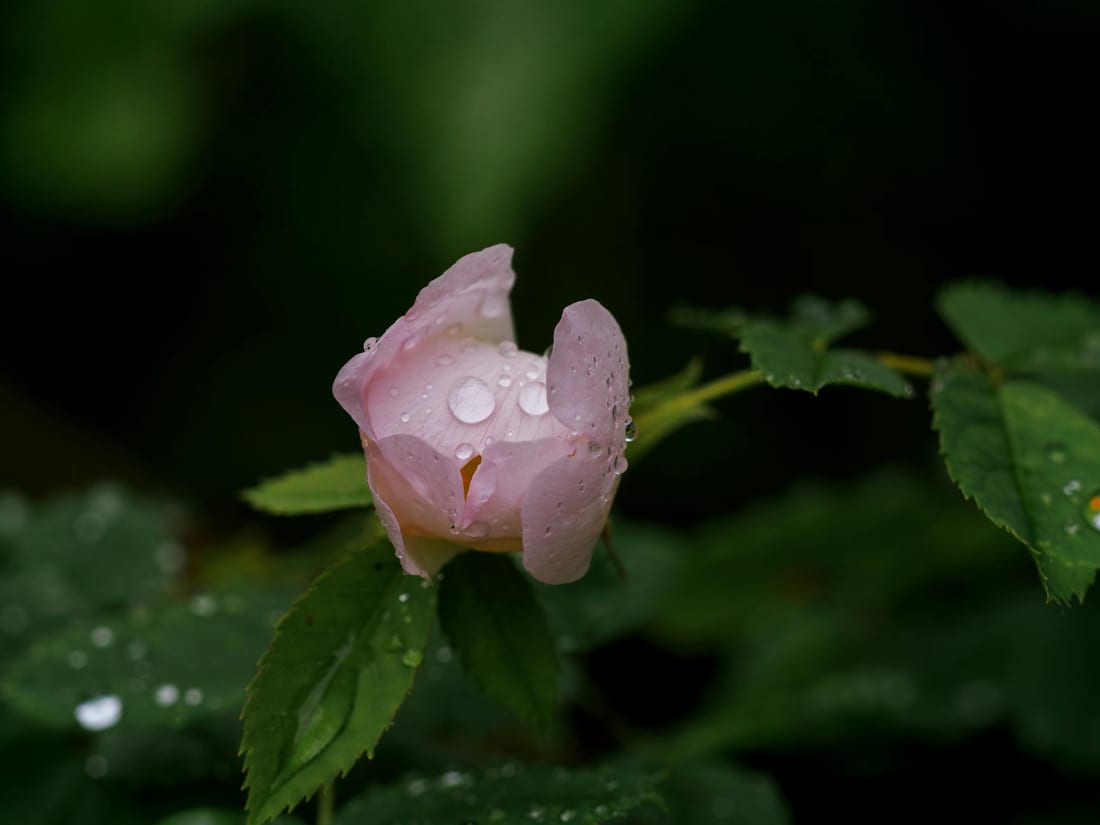 Learn How to Grow Your Business with Free Classes